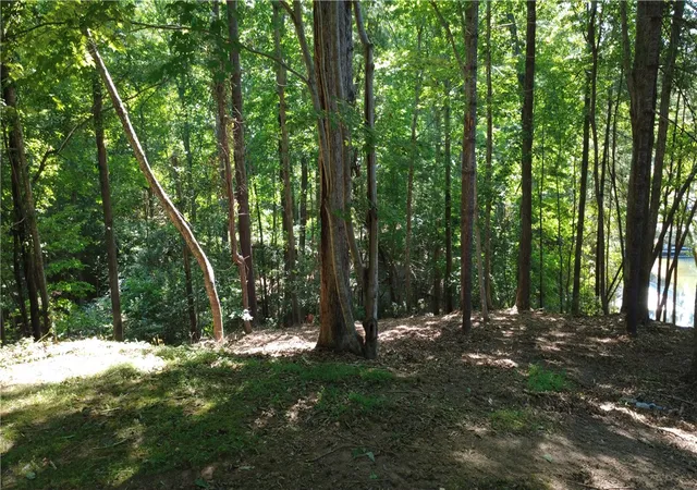 Photo 4 of Land for sale at 601 Wind Flower Dr, Sunset, SC 29685 | MLS# 20303359 | Listing updated on 2026-08-25