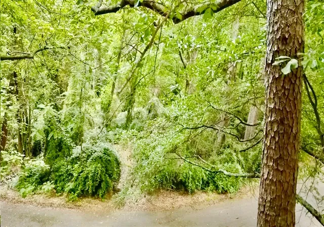 Photo 3 of Land for sale at 1208 Echo Holw Rd, Anderson, SC 29621 | MLS# 20303920 | Listing updated on 2026-09-21