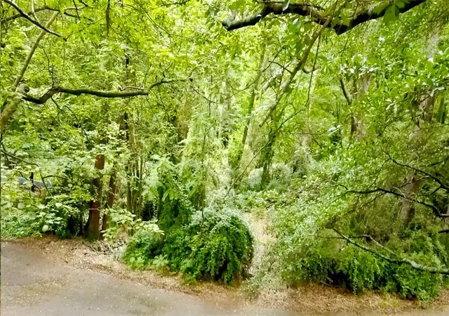 Photo 3 of Land for sale at 1208 Echo Holw Rd, Anderson, SC 29621 | MLS# 20303920 | Listing updated on 2026-09-21