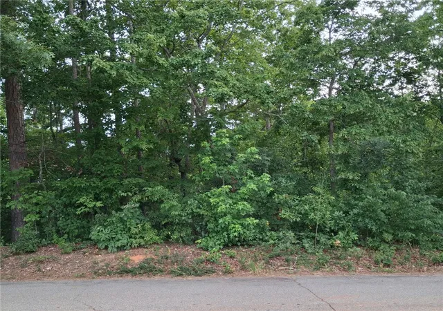 Photo 1 of Land for sale at 00 Left Frk Rd, Pickens, SC 29671 | MLS# 20304012 | Listing updated on 2026-09-18