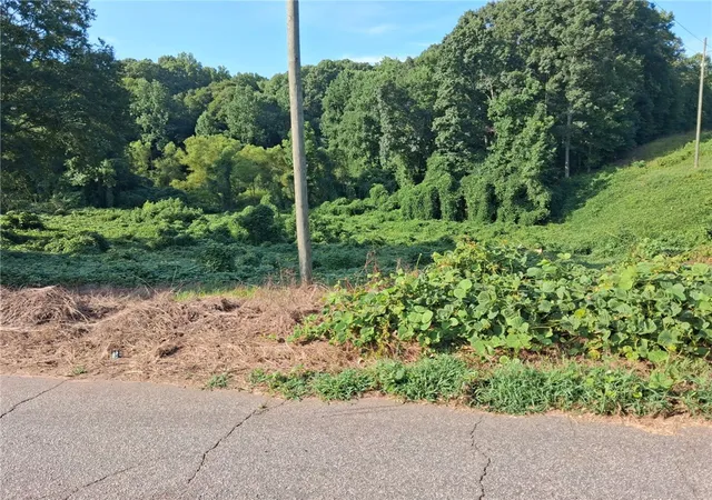 Land for sale at 00 Overbrook Dr, Liberty, SC 29657 | MLS# 20304026