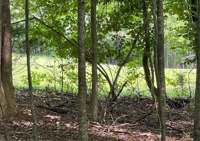 2nd image of Lot 18 S Hogan Dr, Westminster, SC 29693 | MLS# 20304030