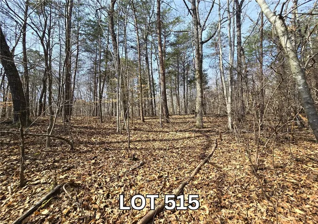 1st image of Lot 515 Point Rd, Westminster, SC 29693 | MLS# 20304046