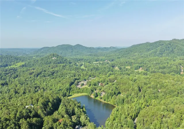 Homes for sale in Travelers Rest, SC | 207 Cottage Side Trail Trail, Travelers Rest, SC 29690 | MLS# 20304004