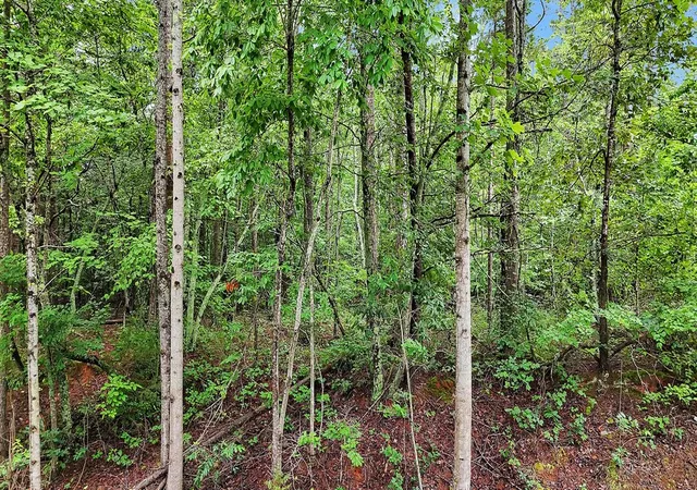 15th image of Tr 5 Dalrymple Rd, Pendleton, SC 29670 | MLS# 20304105