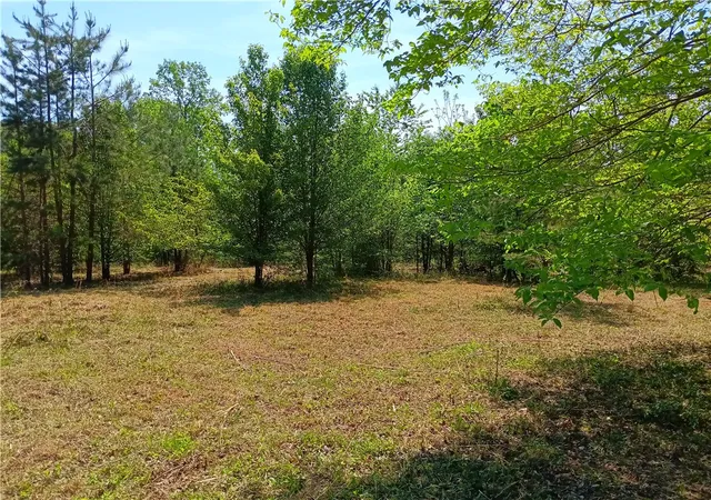 3rd image of 00L-1 Hickory Cove Rd, Seneca, SC 29672 | MLS# 20304054