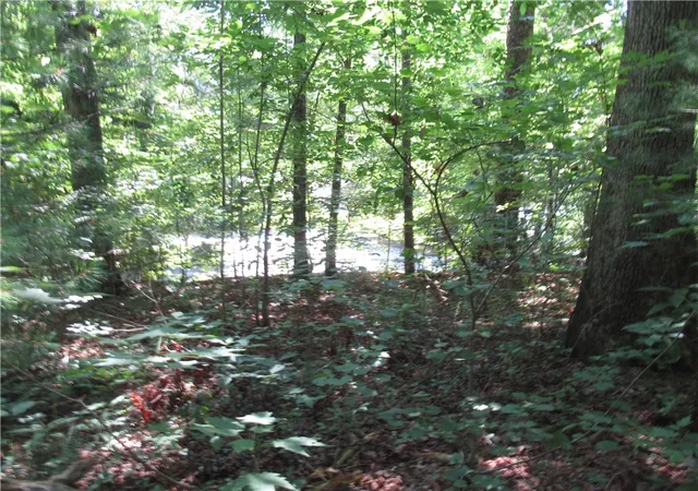 Homes for sale in Pickens, SC | 00 Gauley Falls Rd, Pickens, SC 29671 | MLS# 20304179