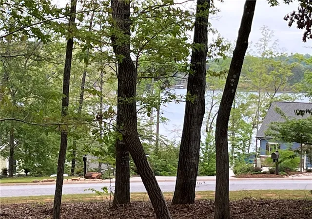 3rd image of Lot 30 Pointe Harbor Dr, Seneca, SC 29672 | MLS# 20303776