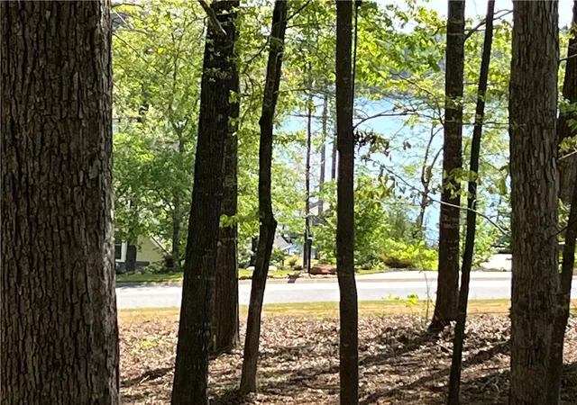 4th image of Lot 30 Pointe Harbor Dr, Seneca, SC 29672 | MLS# 20303776