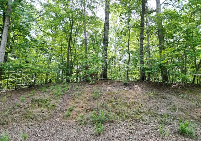 2nd image of 1654 Point Rd, Westminster, SC 29693 | MLS# 20304342