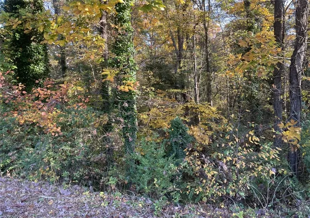 Photo 3 of Land for sale at Lot 9 Brookforest Dr, Anderson, SC 29621 | MLS# 20304357 | Listing updated on 2026-07-27