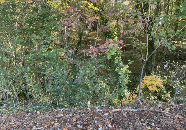 Photo 1 of Land for sale at Lot 10 Brookforest Dr, Anderson, SC 29621 | MLS# 20304358 | Listing updated on 2026-07-27