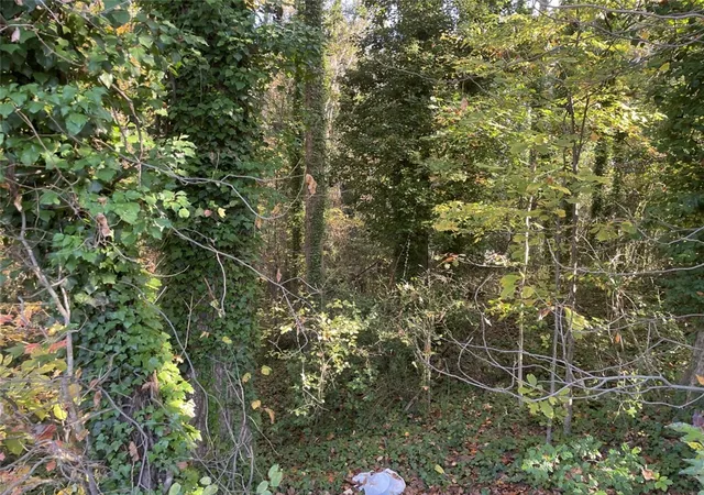 Photo 2 of Land for sale at Lot 10 Brookforest Dr, Anderson, SC 29621 | MLS# 20304358 | Listing updated on 2026-07-27