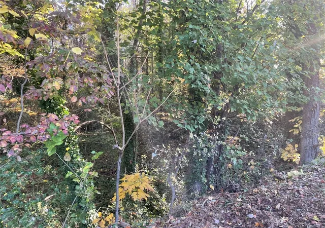 Photo 3 of Land for sale at Lot 10 Brookforest Dr, Anderson, SC 29621 | MLS# 20304358 | Listing updated on 2026-07-27