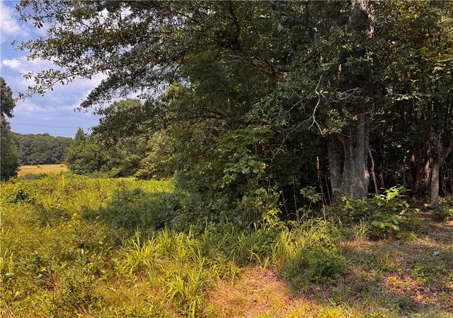 4th image of 1616 Blue Ridge Ave, Belton, SC 29627 | MLS# 20304370