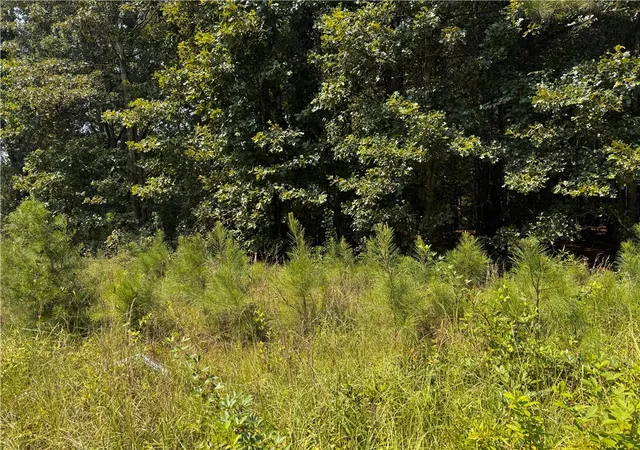 5th image of 1616 Blue Ridge Ave, Belton, SC 29627 | MLS# 20304370