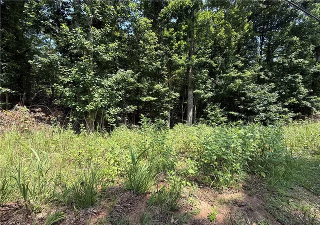 1st image of Lot 8 Old Smokey Dr, Westminster, SC 29693 | MLS# 20304485