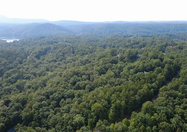 19th image of 122 Teaberry Ln, Sunset, SC 29685 | MLS# 20304409