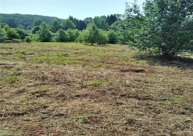 1st image of 0 Jameson Rd, Easley, SC 29640 | MLS# 20304517