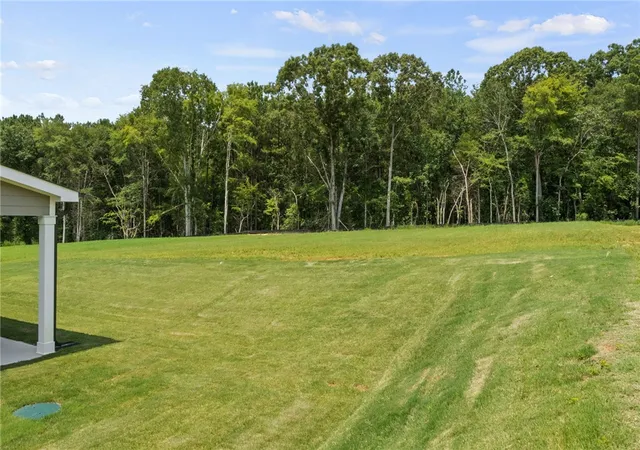 30th image of 118 Nannies Cir, Williamston, SC 29697 | MLS# 20304524