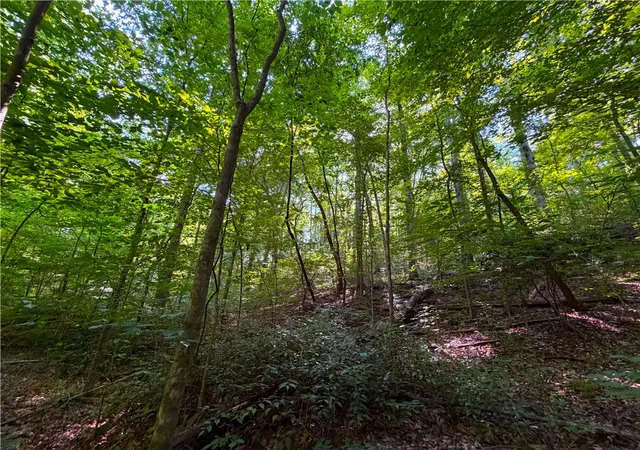 Photo 3 of Land for sale at 141 Old Sc 11, Travelers Rest, SC 29690 | MLS# 20304392 | Listing updated on 2026-08-28