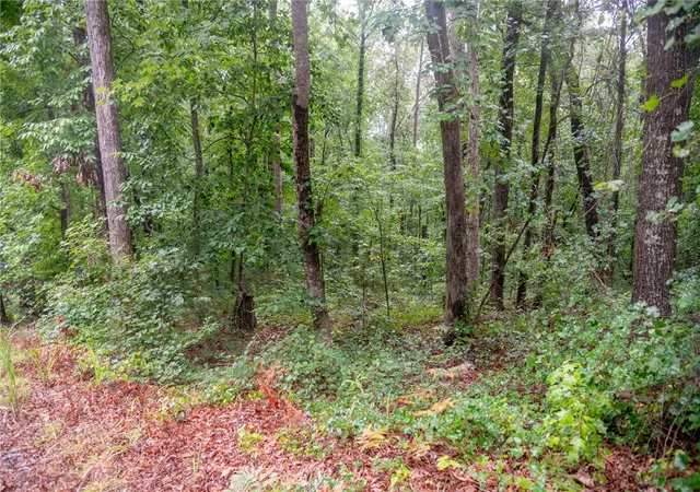 16th image of 106 Pierpoint Dr, Westminster, SC 29693 | MLS# 20303901