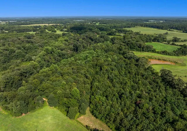 50th image of 1320 Hwy 182 Hwy, Fair Play, SC 29643 | MLS# 20304566