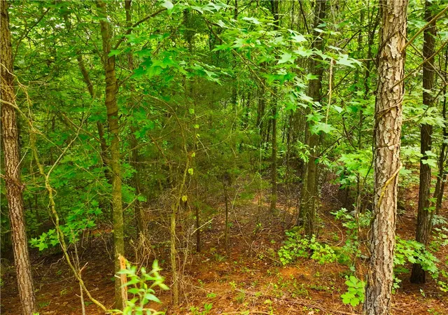Photo 3 of Land for sale at 162 Sarah Simpson Rd, Iva, SC 29655 | MLS# 20304596 | Listing updated on 2026-10-02