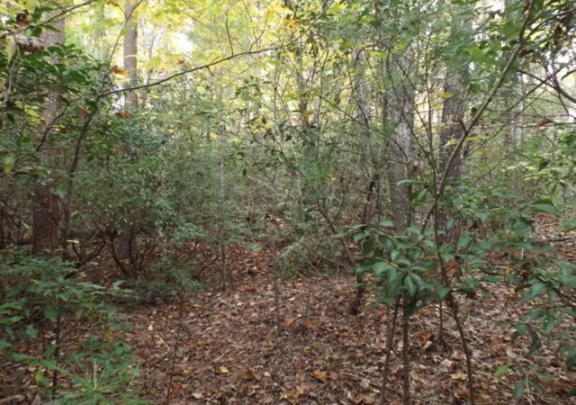 Photo 3 of Land for sale at 116 Fireside Ln, Pickens, SC 29671 | MLS# 20304707 | Listing updated on 2026-10-08