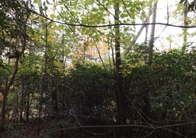 Photo 3 of Land for sale at 116 Fireside Ln, Pickens, SC 29671 | MLS# 20304707 | Listing updated on 2026-10-08