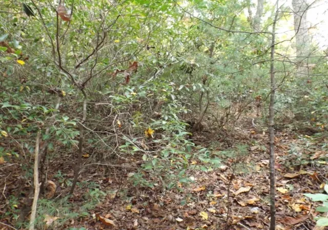 Photo 4 of Land for sale at 116 Fireside Ln, Pickens, SC 29671 | MLS# 20304707 | Listing updated on 2026-10-08