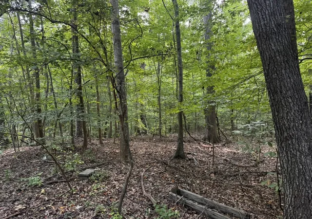 Photo 2 of Land for sale at 1146 Little Mountain Rd, Anderson, SC 29626 | MLS# 20305516 | Listing updated on 2026-08-28