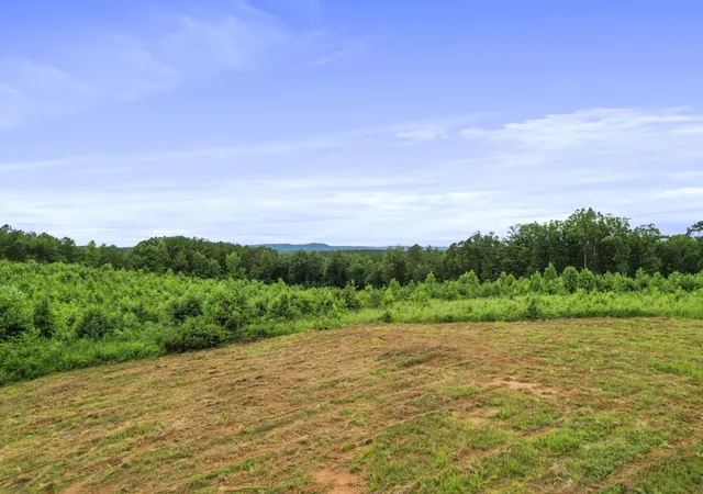 33rd image of 556 Poplar Springs Rd, Walhalla, SC 29691 | MLS# 20305545