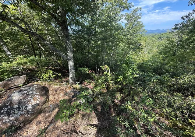 Photo 3 of Land for sale at 1140 Packs Mountain Ridge Rd, Taylors, SC 29687 | MLS# 20305508 | Listing updated on 2026-08-30
