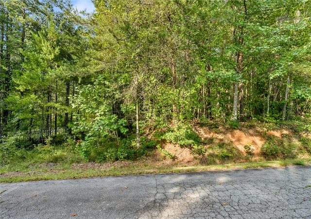 Photo 3 of Land for sale at Lots E 179 181 Richfield Dr, Westminster, SC 29693 | MLS# 20306171 | Listing updated on 2026-10-09
