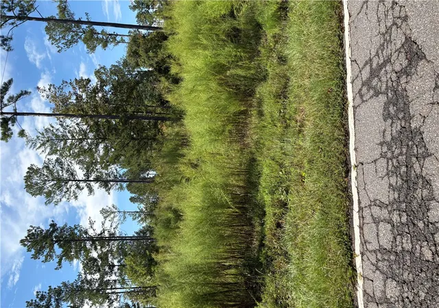 Photo 3 of Land for sale at 12 Acres Lake Secession Rd, Iva, SC 29655 | MLS# 20306463 | Listing updated on 2026-09-22