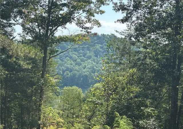 Photo 1 of Land for sale at 219 Long Cvs Ct, Sunset, SC 29685 | MLS# 20306444 | Listing updated on 2026-09-22