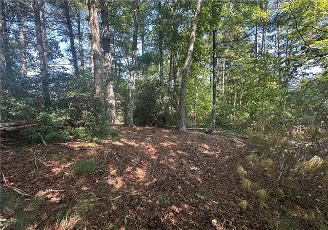 Photo 2 of Land for sale at 219 Long Cvs Ct, Sunset, SC 29685 | MLS# 20306444 | Listing updated on 2026-09-22