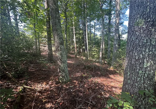 Photo 3 of Land for sale at 219 Long Cvs Ct, Sunset, SC 29685 | MLS# 20306444 | Listing updated on 2026-09-22