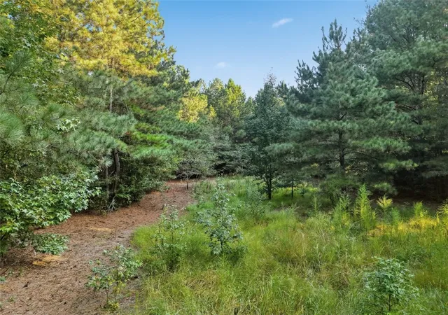 Photo 3 of Land for sale at Tract B Five Forks Rd, Anderson, SC 29621 | MLS# 20306394 | Listing updated on 2026-10-10