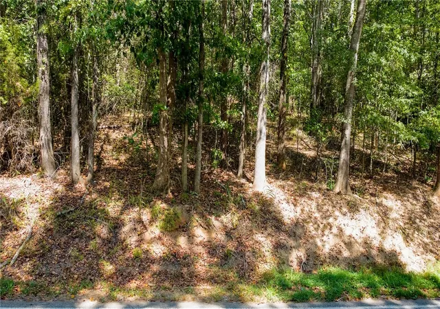 Land for sale at Lot 17 Whiten Rd, Belton, SC 29627 | MLS# 20306420