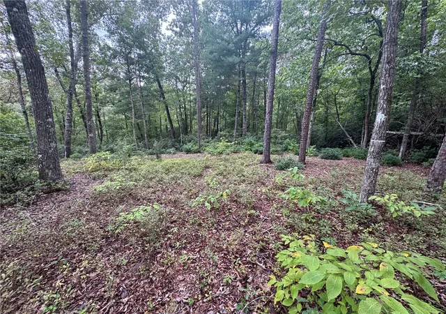 Photo 1 of Land for sale at #s46 Cliffs Fls Pkwy, Salem, SC 29676 | MLS# 20306486 | Listing updated on 2026-09-28