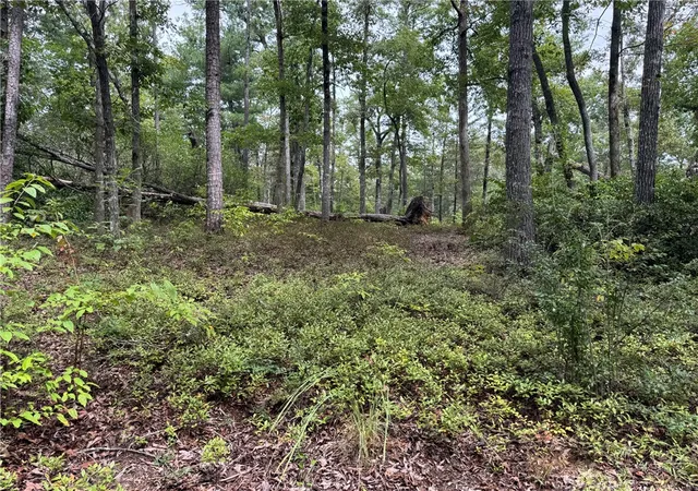 Photo 3 of Land for sale at #s46 Cliffs Fls Pkwy, Salem, SC 29676 | MLS# 20306486 | Listing updated on 2026-09-28