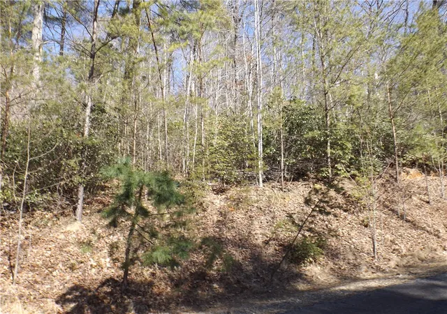 Land for sale at 130 Fairway Woods, Pickens, SC 29671 | MLS# 20306693