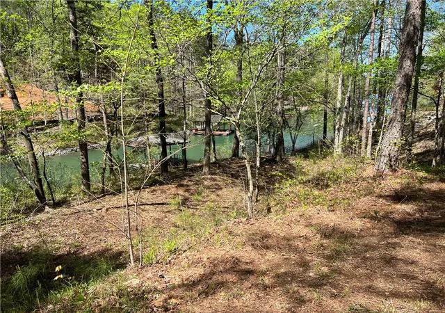 Photo 3 of Land for sale at 217 Featherstone Dr, Sunset, SC 29685 | MLS# 20306725 | Listing updated on 2026-10-12