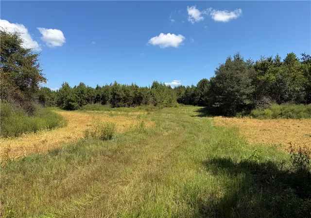 Photo 1 of Land for sale at 1 Royster Rd, Townville, SC 29689 | MLS# 20306805 | Listing updated on 2026-09-30