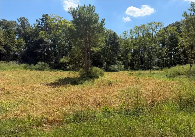 Photo 2 of Land for sale at 1 Royster Rd, Townville, SC 29689 | MLS# 20306805 | Listing updated on 2026-09-30