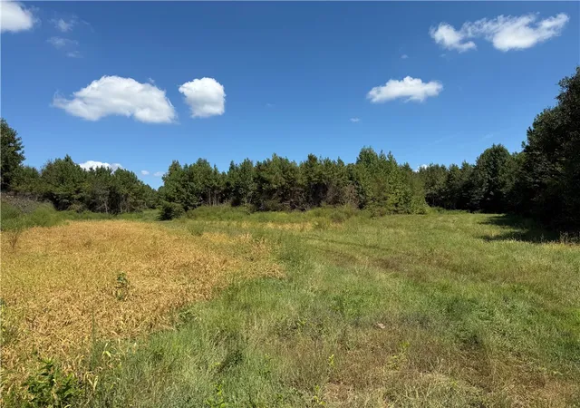 Photo 3 of Land for sale at 1 Royster Rd, Townville, SC 29689 | MLS# 20306805 | Listing updated on 2026-09-30