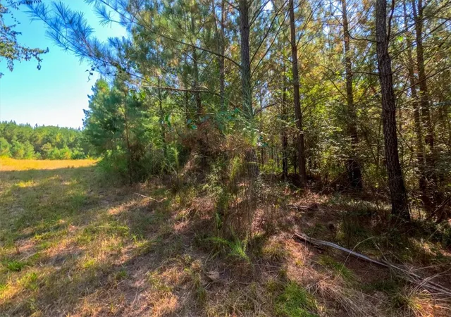 Photo 2 of Land for sale at 7987 Ac Sam Turner Rd, Iva, SC 29655 | MLS# 20306500 | Listing updated on 2026-10-01