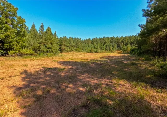 Photo 3 of Land for sale at 7987 Ac Sam Turner Rd, Iva, SC 29655 | MLS# 20306500 | Listing updated on 2026-10-01